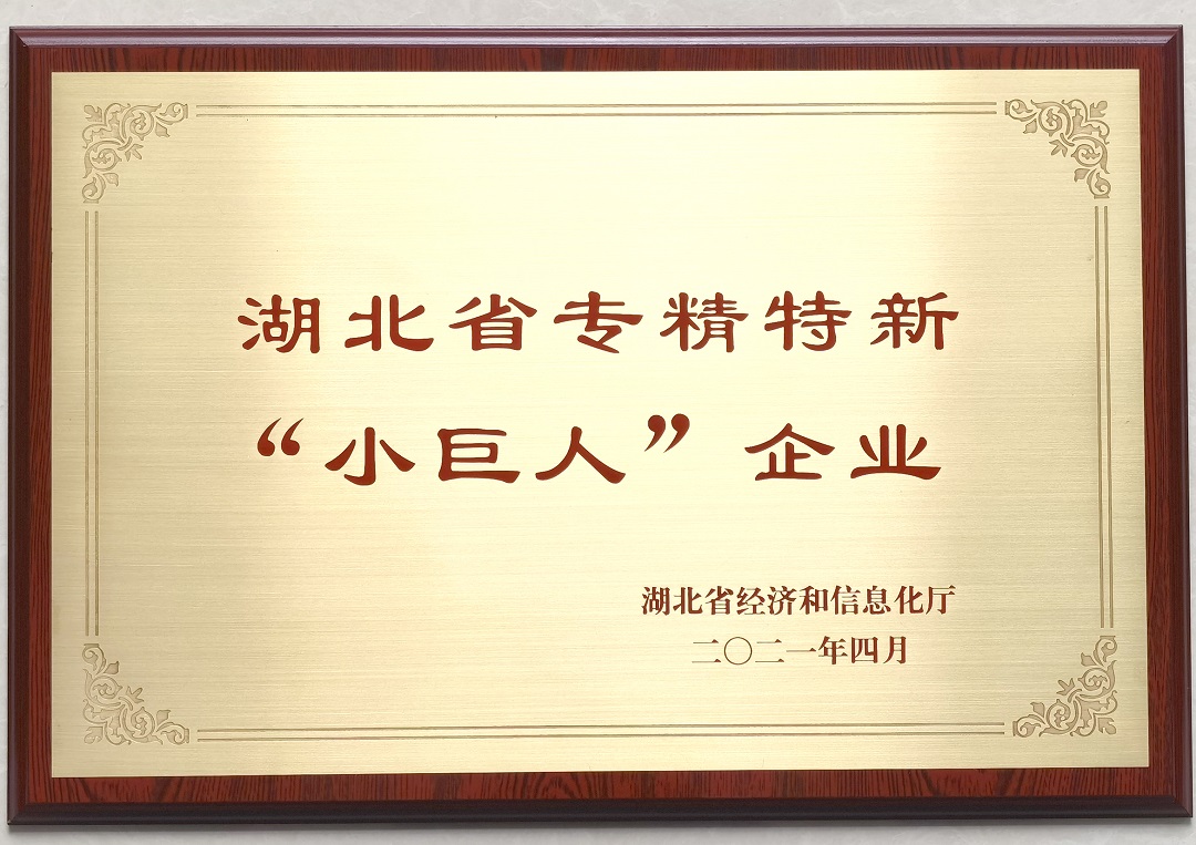 111.jpg